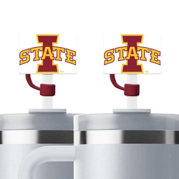 I-State Silicone Straw Toppers (2 pack)
